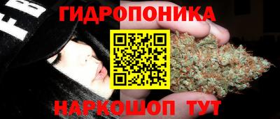 МДПВ Славгород