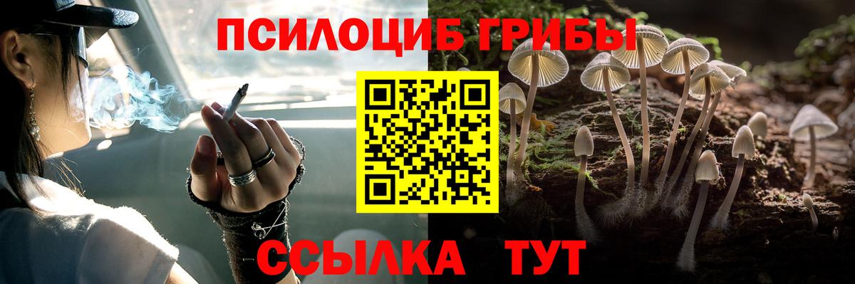 Балашиха  Псилоцибиновые грибы прущие грибы  где можно купить наркотик  Псилоцибиновые грибы Magic Shrooms  Вход с VPN 